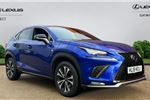 2019 Lexus NX