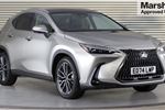 2024 Lexus NX