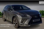 2019 Lexus NX