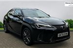 2020 Lexus UX