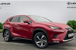 2020 Lexus NX