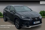 2018 Lexus NX