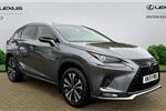 2021 Lexus NX