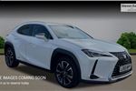 2020 Lexus UX