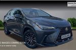 2024 Lexus NX