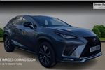 2021 Lexus NX