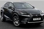 2020 Lexus NX