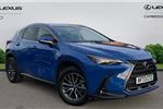 2023 Lexus NX