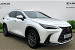 2023 Lexus NX