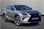 2020 Lexus NX