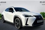 2021 Lexus UX