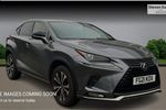 2021 Lexus NX