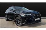 2023 Lexus NX