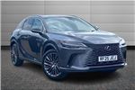 2025 Lexus RX