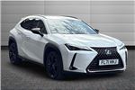 2021 Lexus UX