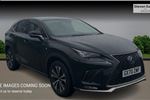 2020 Lexus NX