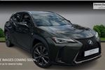 2021 Lexus UX