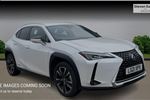 2021 Lexus UX