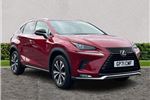 2021 Lexus NX