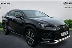 2020 Lexus NX