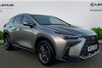 2023 Lexus NX