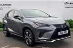 2021 Lexus NX