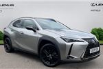 2021 Lexus UX