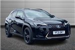 2021 Lexus UX
