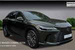 2023 Lexus RX