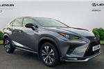 2021 Lexus NX