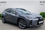 2021 Lexus UX