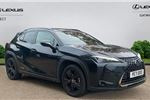 2021 Lexus UX