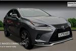 2021 Lexus NX