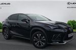 2020 Lexus NX