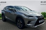 2021 Lexus NX