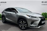 2020 Lexus NX