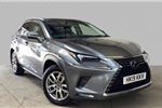 2019 Lexus NX