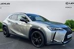 2022 Lexus UX