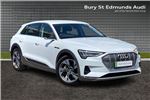 2020 Audi e-tron