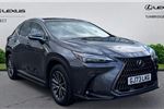 2023 Lexus NX