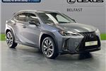 2021 Lexus UX