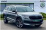 2024 Skoda Kodiaq 2.0 TDI Sport Line 4x4 5dr DSG [7 Seat]