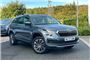 2023 Skoda Kodiaq 2.0 TDI SE L Executive 4x4 5dr DSG [7 Seat]