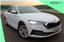 2023 Skoda Octavia 2.0 TDI 150 SE L 5dr DSG