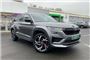 2022 Skoda Kodiaq vRS 2.0 TSI 245 vRS 4x4 5dr DSG [7 Seat]