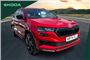 2024 Skoda Karoq 1.5 TSI Sportline 5dr DSG