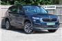 2023 Skoda Kodiaq 2.0 TDI SE Drive 4x4 5dr DSG [7 Seat]