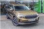 2024 Skoda Kodiaq 2.0 TDI 193 SE L 4X4 5dr DSG [7 Seat]